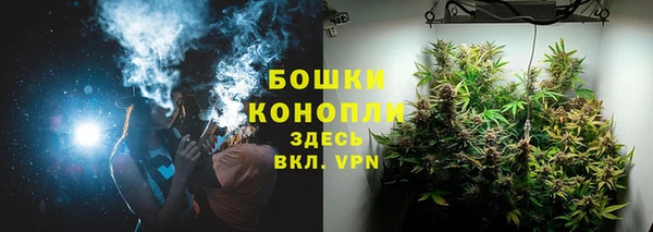 хмурый Зеленокумск